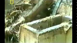 Чернобыль -- за секунду до катастрофы