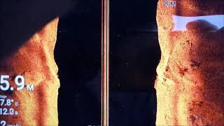 Эхолот Raymarine Element 7 HV, видео с воды 03.04.2019
