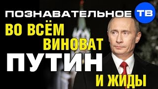 Во всём виноват Путин и жиды! (Познавательное ТВ, Артём Войтенков)