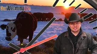 A Day in the Life - Wyoming Rancher & Youtuber