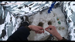 Рыбалка. Сам удивлён уловом. Мои самодельные лыжи.