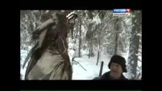 Непотеряный рай   собака тайги