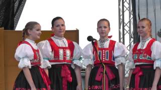 CM Friška - Janíčku, duša má (SFFS Dambořice)