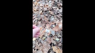 Рыжая не стала показывать как она умеет / The redhead did not show how she could
