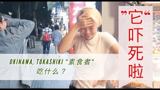 #8， 我们被 ”它“吓到了！Okinawa, Tokashiki素食