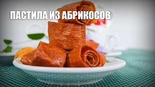 Пастила из абрикосов — видео рецепт