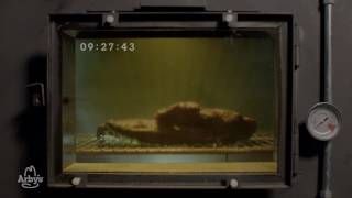 The Arby's 13-Hour Smokehouse Brisket 13-Hour Commercial