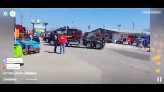 Бизон на Трак Шоу. Давид Kamaz.