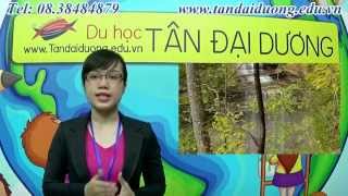 Du học Mỹ Tìm hiểu cơ bản về bang Indiana, Mỹ