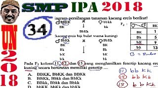 pembahasan soal UNBK IPA , un smp 2018 no 34, pewarisan sifat genetik , Mendel
