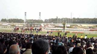 2010　第40回高松宮記念（G1）　中京競馬場