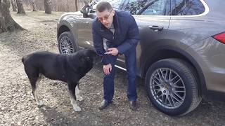 Порше Каен 958 Проблемы и стоимость обслуживания