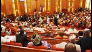 Men Too : Bill Recognizing Males As Rape Victims Passes Second Reading At Senate