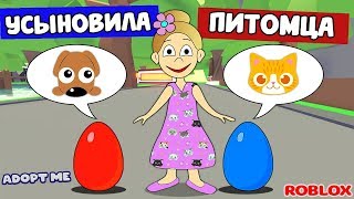 Усыновила ПИТОМЦА  ? который вылупился из ЯЙЦА ? Adopt me roblox ( Усынови меня ) на русском языке