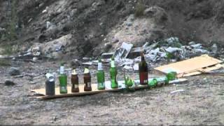 EDgun Lelya  .177 shooting 100 meters