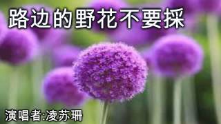 路边的野花不要採 Lu Bian De Ye Hua Bu Yao Cai [by 凌苏珊]