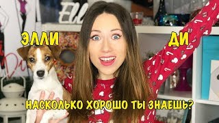 ЭЛЛИ ДИ ПЕТС | Насколько хорошо ты знаешь Elli Di Pets?