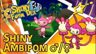 [LIVE!] Shiny Aipom ♂/♀ + Evolution to Shiny Ambipom! (Pokemon Ultra Sun and Ultra Moon)