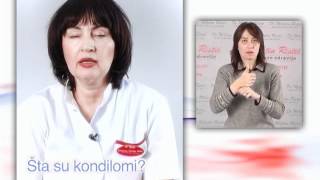 Šta su kondilomi?