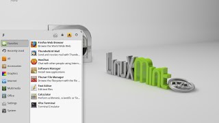 Linux Mint 17.1 XFCE 64bit. Install and review.