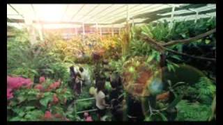 Penang Tourism TVC feat. Lee Sinje