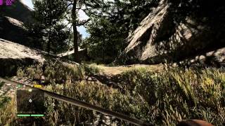 Far Cry 4 - 4K - ULTRA - GTX 970 SLI