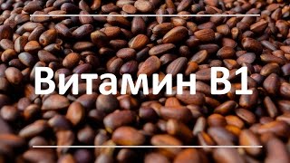 Витамин В1 (Тиамин) - роль, симптомы дефицита, содержание в продуктах питания