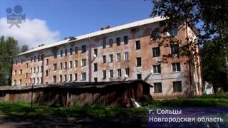 Путины в Сольцах. Верните военных в Сольцы