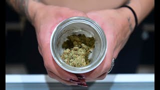 CBD: el componente de la marihuana que “beneficia la salud de las personas”