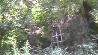 Назад в ГСВГ.Эпизод 48й.Бернау разведбат 2010.