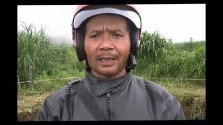 Lobang Raksasa Gemparkan Warga Brebes