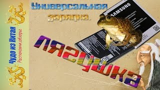 Зарядное устройство для всех типов аккумулятор "Лягушка"
