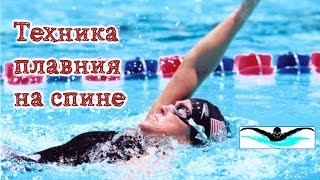 Плавание на спине. Как научиться плавать на спине без ошибок
