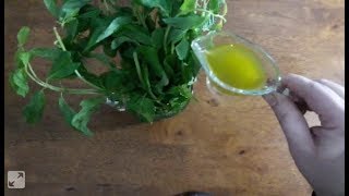 طريقة عمل زيت النعناع بالبيت المقاوم للامراض ولشيخوخه??