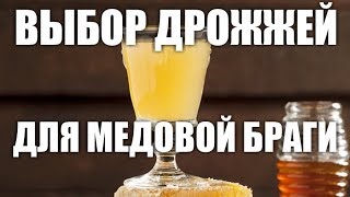 Выбор дрожжей для медовой браги.