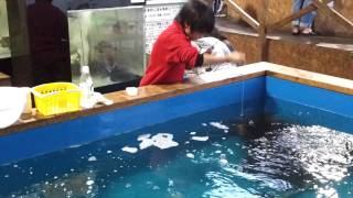 初の伊勢海老釣りNO3