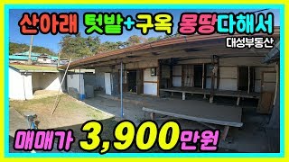 (0390) 산아래 텃밭+구옥 모두 합쳐서 매매가 3,900 귀농해서 지낼 시골집,농가주택 찾으시는분