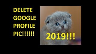 HOW TO DELETE GOOGLE PROFILE PIC 2020!!!