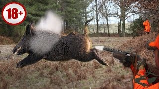 ОХОТА НА КАБАНА. И такое бывает.... кабаны в бронежилете. WILD BOAR HUNTING