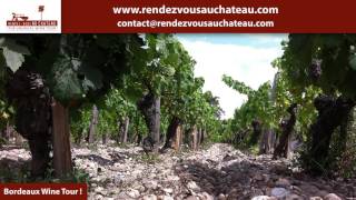 How to find the best winery tour in Bordeaux