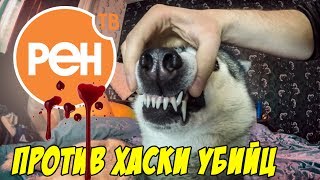 тварь без намордника / РЕН ТВ с Игорем Прокопенко ПРОТИВ ХАСКИ