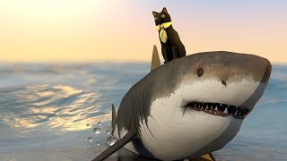 Roblox Animation - SIR MEOWS A LOT IN BOOGA BOOGA!