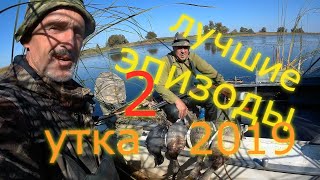 ОХОТА на УТКУ.  ЛУЧШИЕ  ЭПИЗОДЫ сезона охоты на утку 2019 года. (часть вторая).