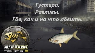 Atom Fishing II - Густера. Разливы. Где, как и на что ловить.