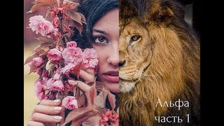 Кто такой альфа мужчина и что получает его женщина?