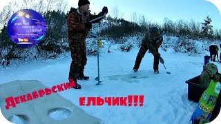 Рыбалка ,елец в декабре! Вот это клев!!!