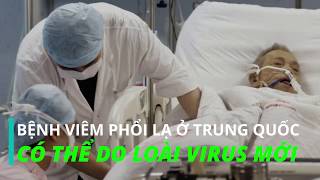 WHO: Bệnh viêm phổi lạ ở Trung Quốc do loại VIRUS MỚI gây ra - Khai Nguyên TV