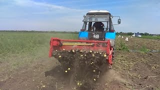 уборка картошки с помощью копалки GRIMME WH 200