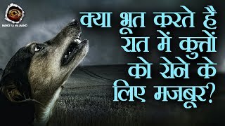क्या आप जानते है क्यों रोते हे कुत्ते रात को ? | क्या सच में दिखते हे उनको भूत ? | Mano Ya Na Mano