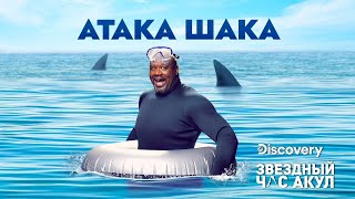 Акулы-охотники | Атака Шака | Discovery